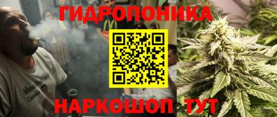 не бодяженный Кингисепп