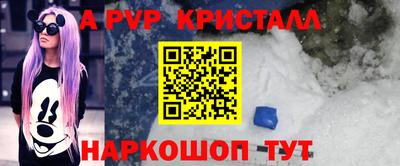 не бодяженный Кингисепп
