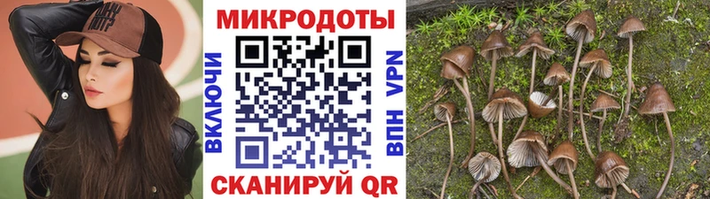 Псилоцибиновые грибы GOLDEN TEACHER  Уссурийск 