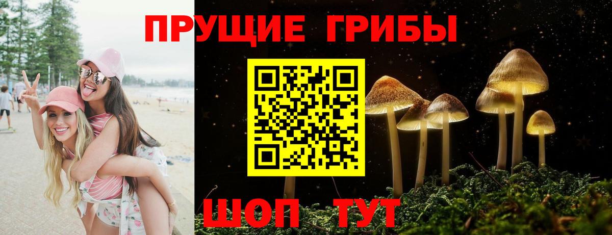 Галлюциногенные грибы мицелий Уссурийск