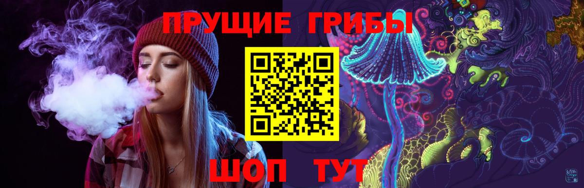 Галлюциногенные грибы Psilocybine cubensis  Вход с VPN  Уссурийск 